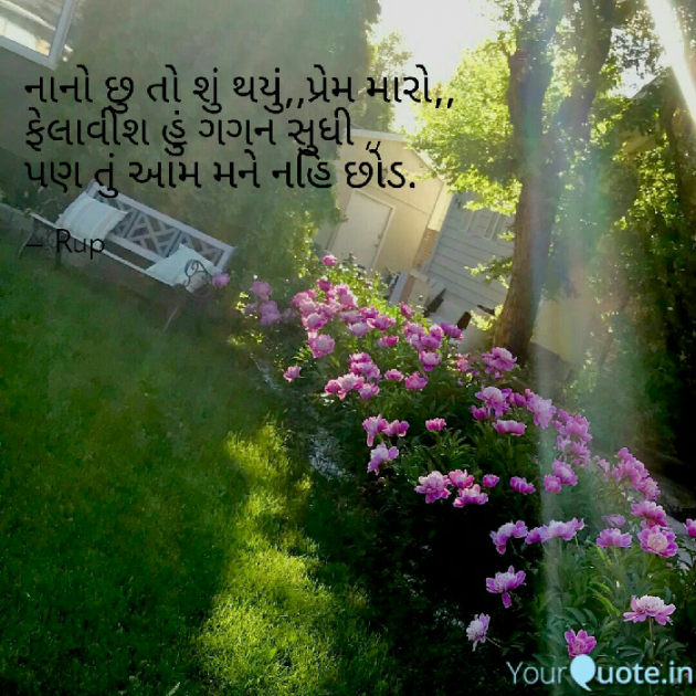 Gujarati Shayri by Rupal Mehta : 111065176