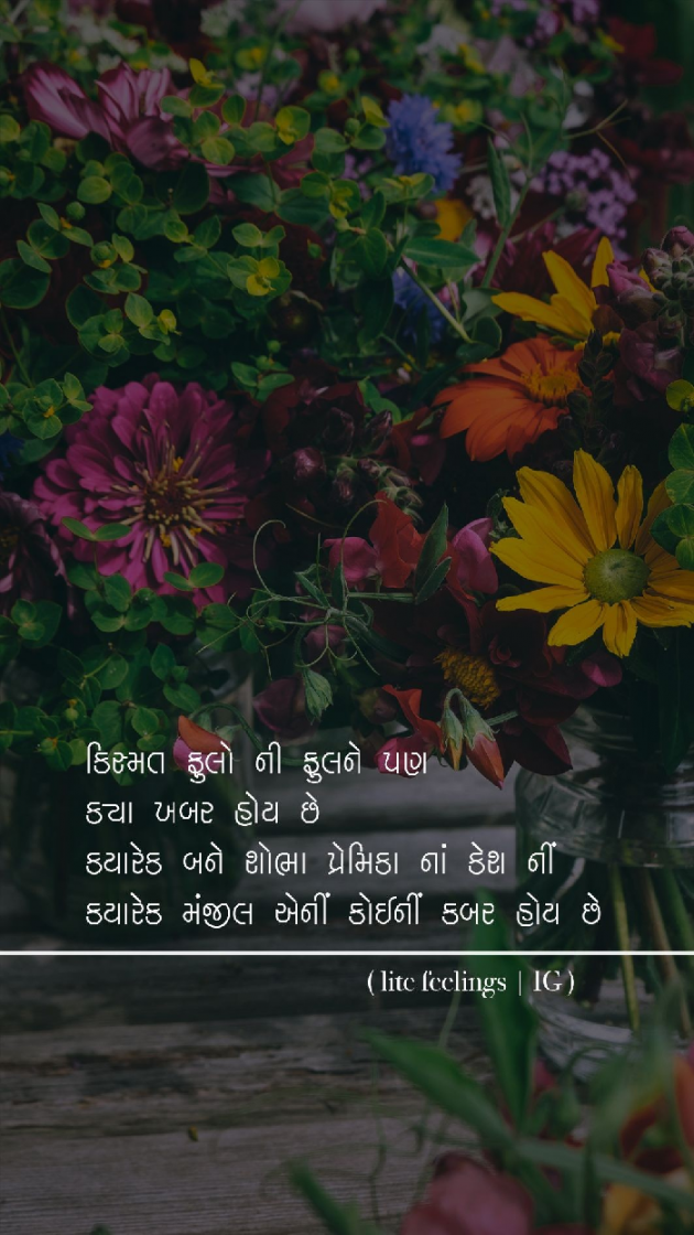 Gujarati Whatsapp-Status by Parvez Rathod : 111065362