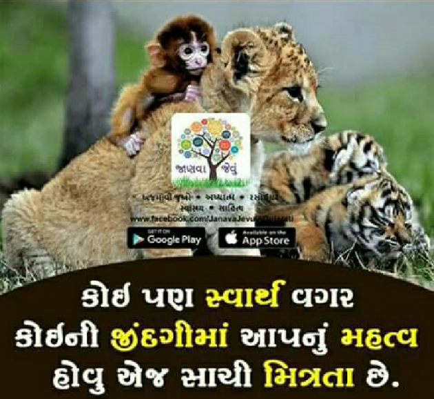 Gujarati Blog by Vishal : 111065663