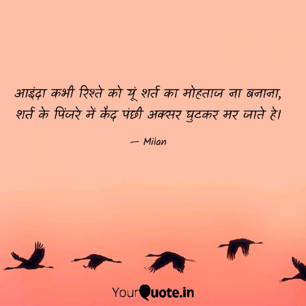 Gujarati Shayri by Milan : 111065714