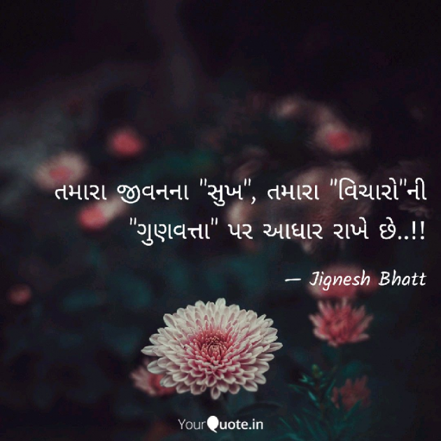 Gujarati Blog by JIGNESH BHATT : 111066496