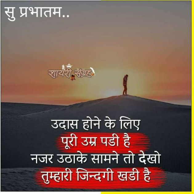 Gujarati Quotes by Kalpesh Joshi : 111066576