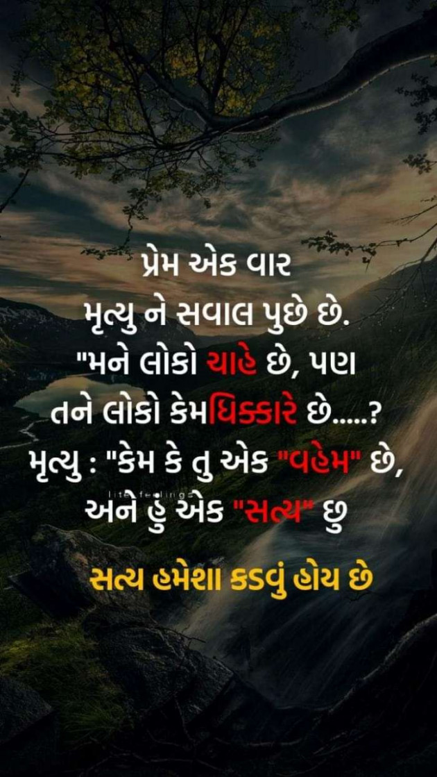 Gujarati Blog by Bhagyesh Bhavsar : 111066747