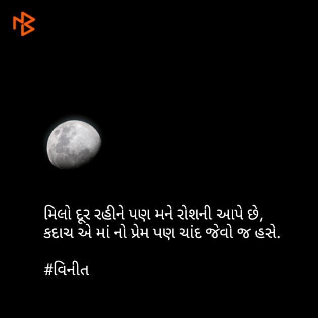 Gujarati Shayri by Vinit Parmar : 111066868