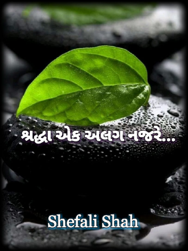 Gujarati Thought by Shefali : 111066907