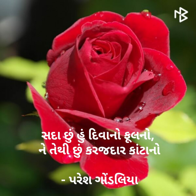 Gujarati Shayri by PARESH GONDALIYA : 111067180