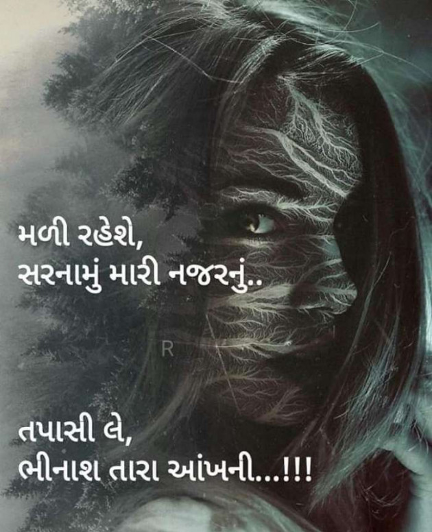 Gujarati Blog by Bhagyesh Bhavsar : 111067239