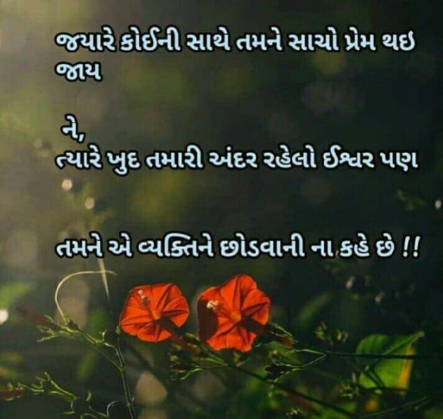 Gujarati Romance by Gunjan Shah : 111067369