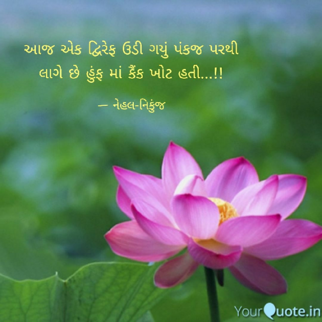 English Shayri by કલમ ના સથવારે : 111068051