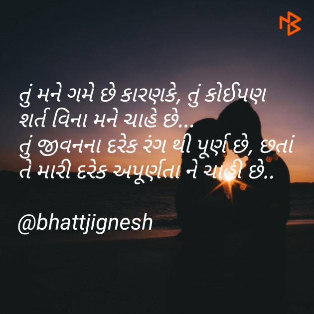 Gujarati Blog by JIGNESH BHATT : 111068246