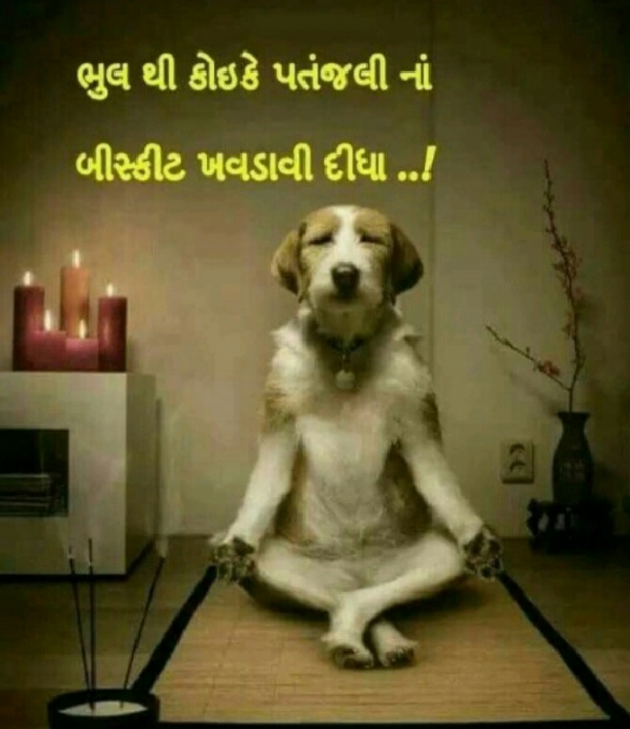 Gujarati Jokes by Harshad Patel : 111068326