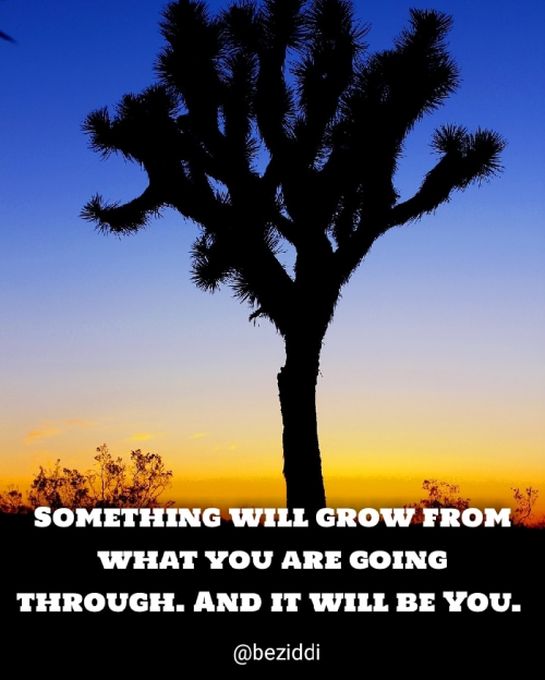 Post by Mukesh Kushwah on 30-Dec-2018 04:48pm