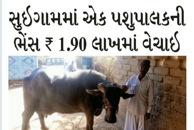 Gujarati Blog by Harshad Patel : 111069506