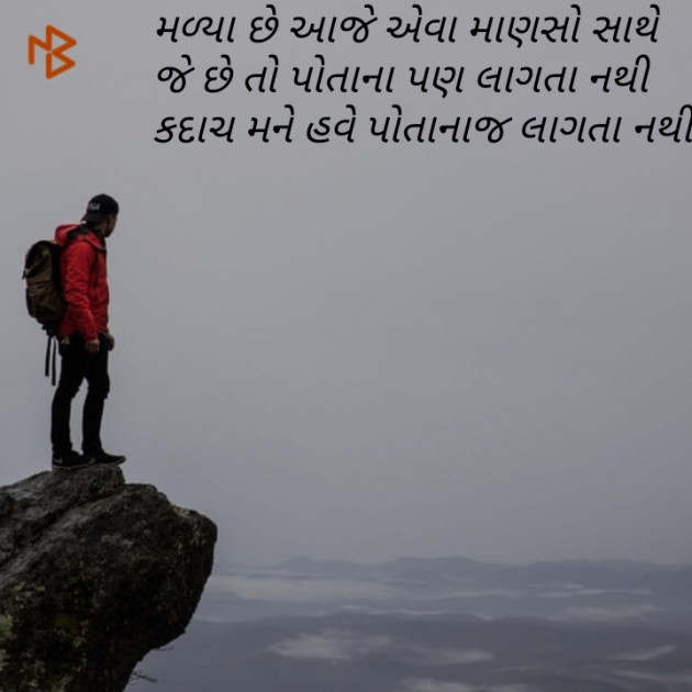 Gujarati Shayri by bharat vinzuda : 111069945