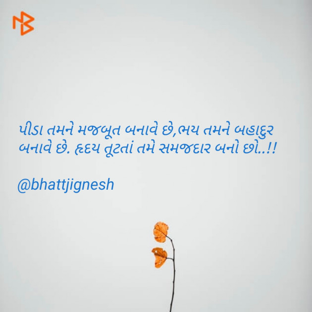 Gujarati Blog by JIGNESH BHATT : 111070131