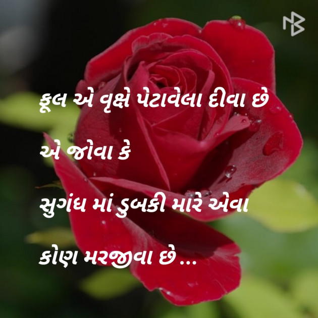 Gujarati Blog by jagrut Patel pij : 111070412