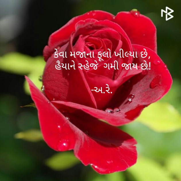 Gujarati Shayri by Ashq Reshammiya : 111070553