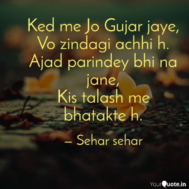 English Shayri by Sehar Sehar : 111071067