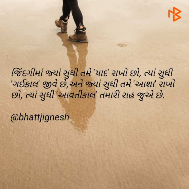 Gujarati Blog by JIGNESH BHATT : 111071229