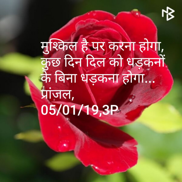 Hindi Shayri by Pranjal Shrivastava : 111071471