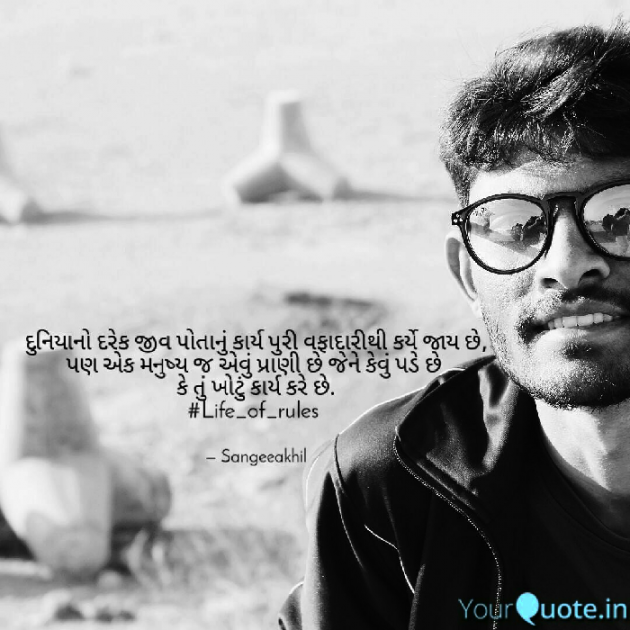 Gujarati Motivational by sangeeakhil : 111071480