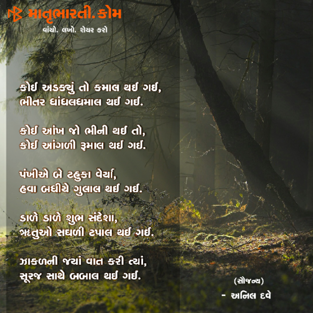 Gujarati Shayri by MB (Official) : 111072690