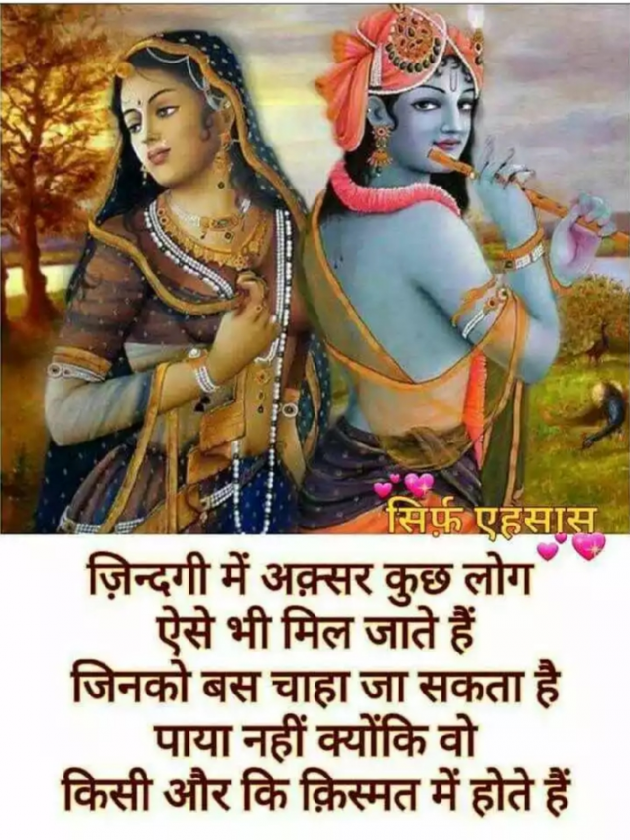 Gujarati Shayri by Sanjay K Parmar : 111073017