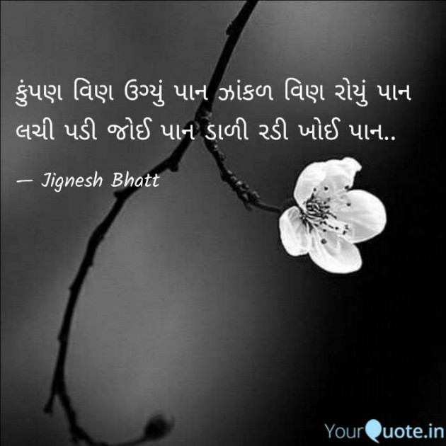 Gujarati Blog by JIGNESH BHATT : 111073129