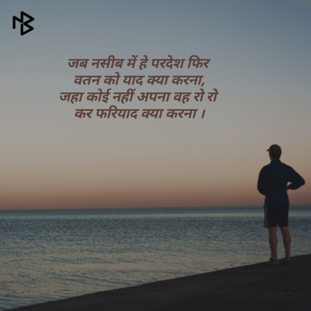 Gujarati Shayri by Shailesh Kavad : 111073520