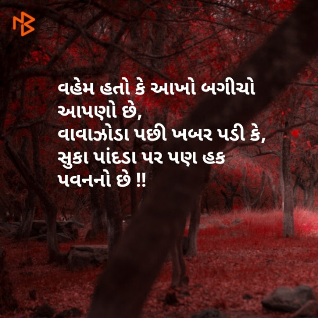 Gujarati Whatsapp-Status by Brijesh Shanischara : 111074109