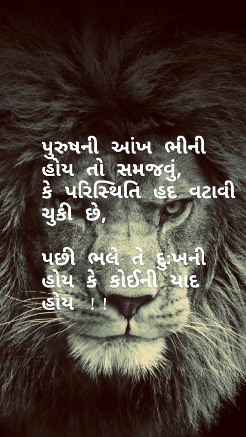 Post by gujju shayar on 12-Jan-2019 09:14am