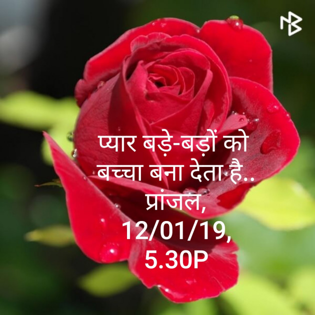 Hindi Shayri by Pranjal Shrivastava : 111075175