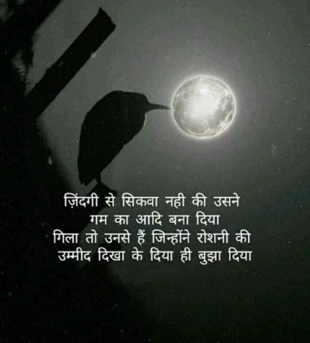 Hindi Shayri by Raj Raj Choudhary : 111075212