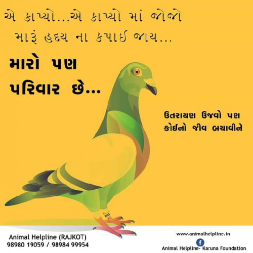 Post by Kishansinh Thakor on 13-Jan-2019 10:57pm