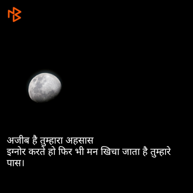 English Shayri by अर्चना यादव : 111075734