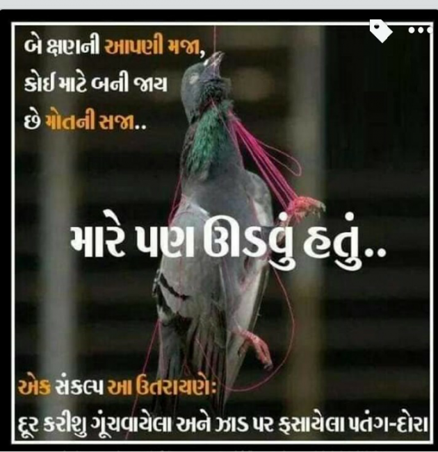 Gujarati Motivational by Dhara Visariya : 111075739