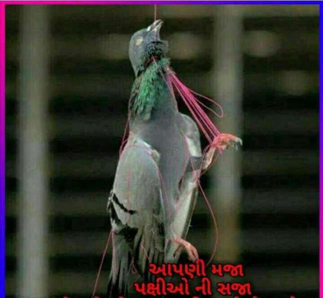 Gujarati Whatsapp-Status by NUSRATJAHA SHEIKH : 111075901