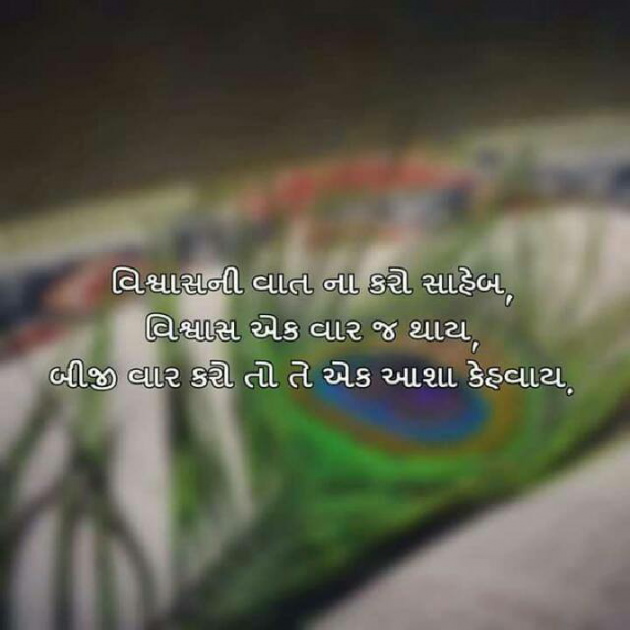 Gujarati Quotes by Amit Giri Goswami : 111076146