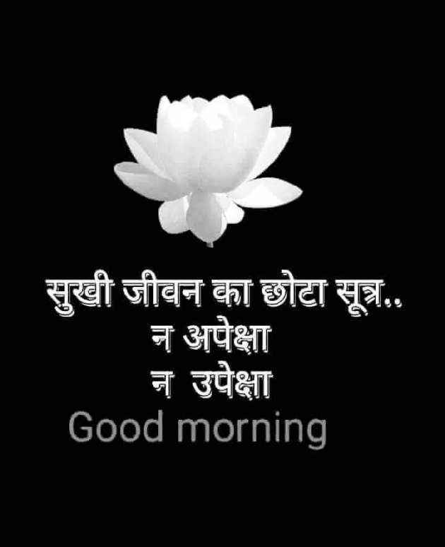 Gujarati Good Morning by P N Gadhavi : 111076154