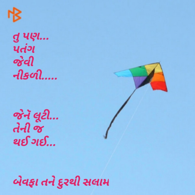 Gujarati Whatsapp-Status by Mewada Hasmukh : 111076251