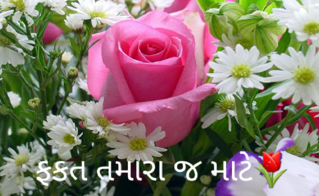 Gujarati Quotes by Harshad Patel : 111076413