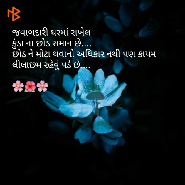 Gujarati Good Morning by Dhara Visariya : 111076679