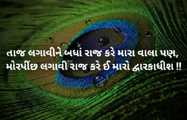 Gujarati Shayri by A K : 111077116