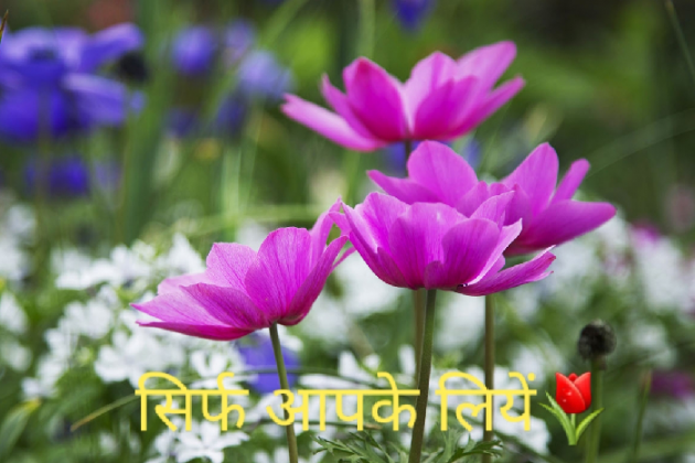 Gujarati Quotes by Harshad Patel : 111077224