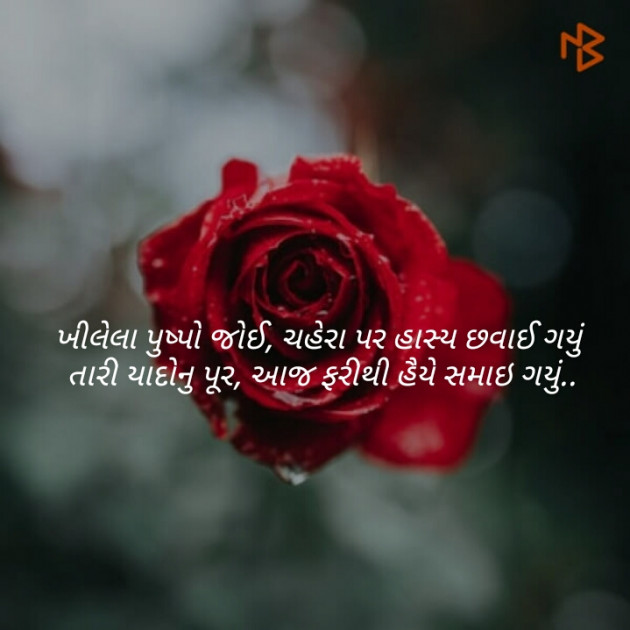 Gujarati Blog by Patel Foram : 111077325