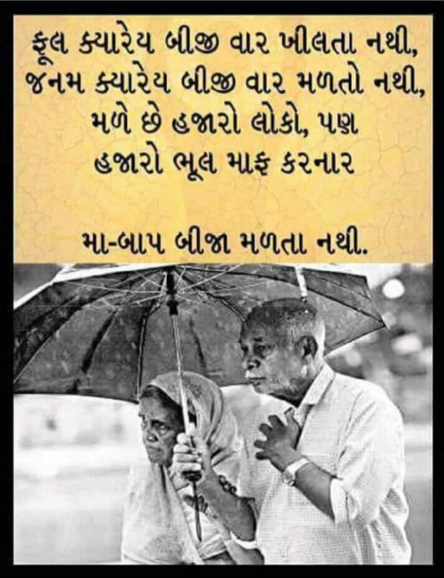 Gujarati Motivational by Harshad Patel : 111077588