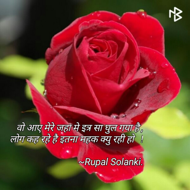 Gujarati Shayri by Rupal Solanki : 111077939