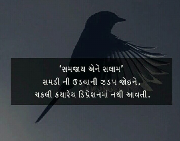 Gujarati Whatsapp-Status by Anil Vaghela : 111078718