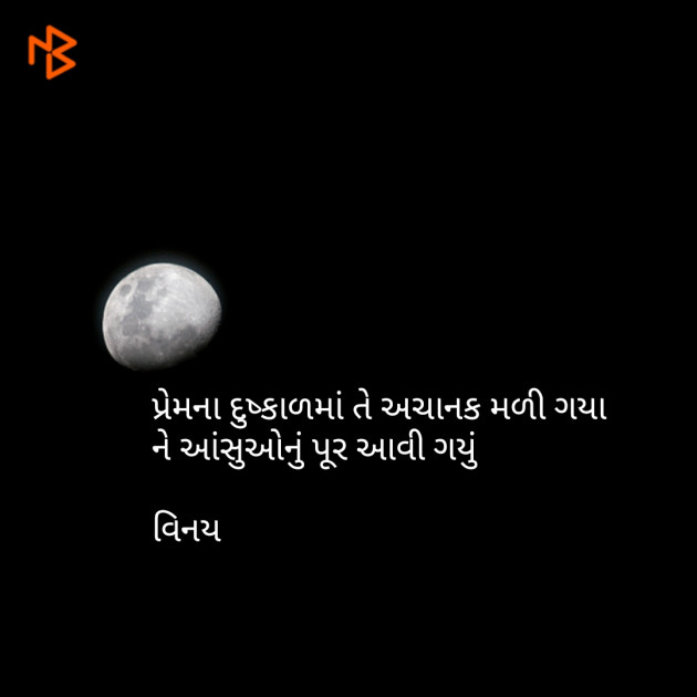 Gujarati Shayri by Patel Vinaykumar I : 111079200