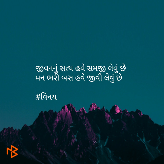 Gujarati Shayri by Patel Vinaykumar I : 111079214